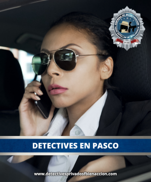 DETECTIVES EN CERRO DE PASCO - PERU